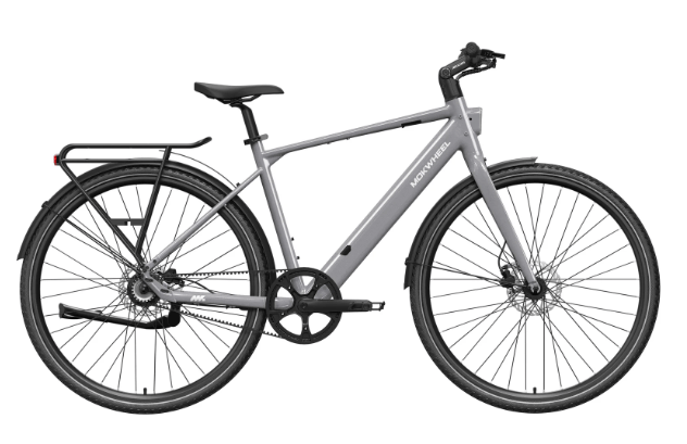 FLINT Step Over Ebike