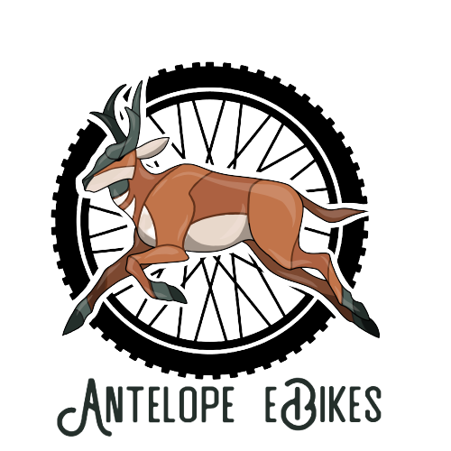 Mokwheel Powered By Antelope E-Bikes