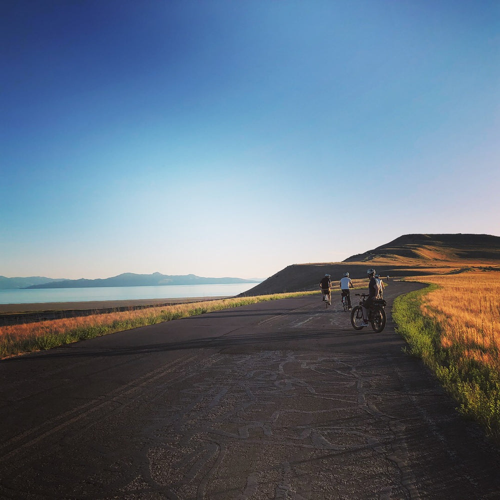 Antelope island tour. Wildlife. Ebike rentals. E-bike tour.