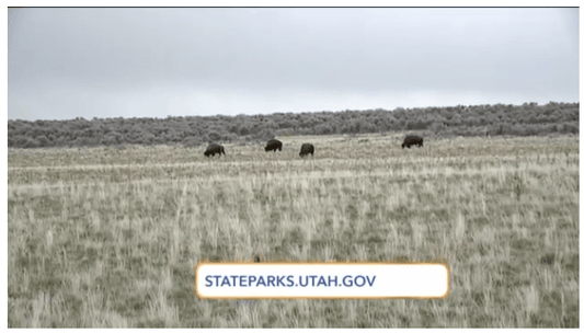 3 Reasons Why Antelope Island State Park Should be your Next Staycation - Antelope Ebikes