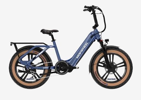 What are some of the different categories of electric bikes?