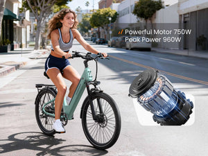Poodle ST Commuter E-Bike Utah AIr IQ Approved E-bike