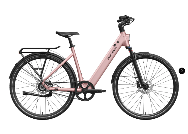 FLINT Step Over Ebike