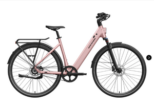 Mokwheel FLINT ST E-Bike | Chain or Pro Belt Drive