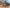 Zion Canyon E-Bike Rental