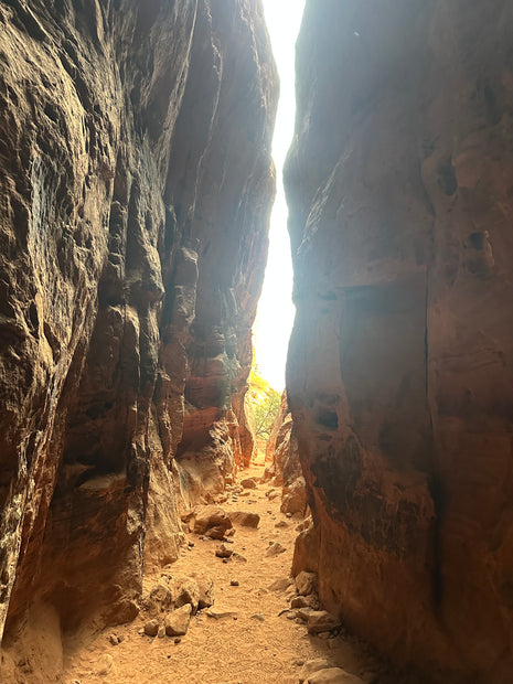 Zions Guided hiking trip