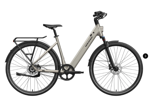 Mokwheel FLINT ST E-Bike | Chain or Pro Belt Drive