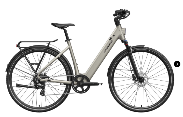 Mokwheel FLINT ST E-Bike | Chain or Pro Belt Drive