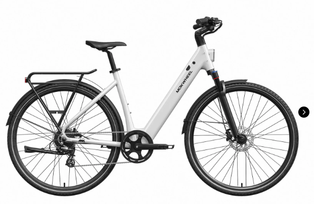 Mokwheel FLINT ST E-Bike | Chain or Pro Belt Drive