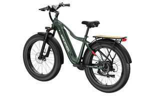 Mokwheel Battery 19.6 amp (Basalt, Scoria, Obsidian, Onyx  Models)