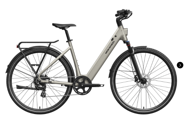 Mokwheel FLINT ST E-Bike | Chain or Pro Belt Drive