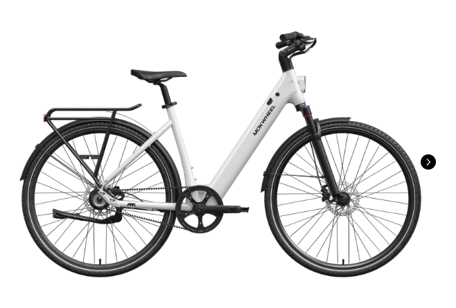 Mokwheel FLINT ST E-Bike | Chain or Pro Belt Drive