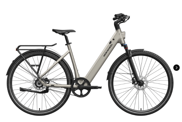 Mokwheel FLINT ST E-Bike | Chain or Pro Belt Drive