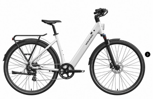 Mokwheel FLINT ST E-Bike | Chain or Pro Belt Drive