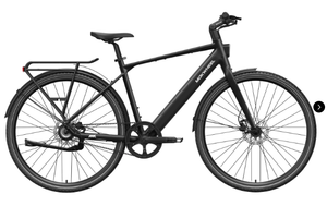 FLINT Step Over Ebike Chain/Pro Belt