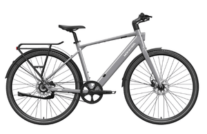 FLINT Step Over Ebike Chain/Pro Belt