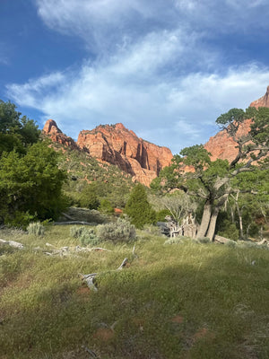 Zion National Park E-Bike Tour: Lee Pass Trail Adventure