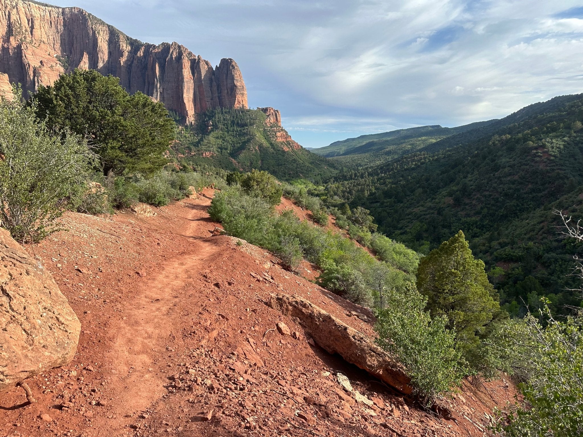 Zion National Park E-Bike Tour: Lee Pass Trail Adventure