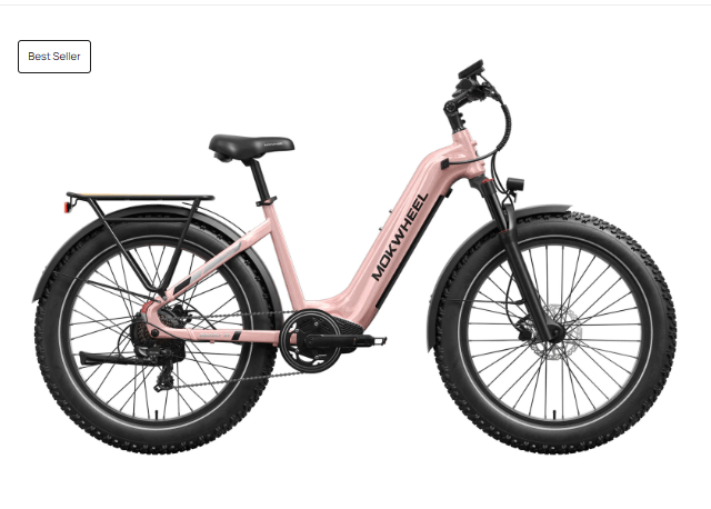 Mokwheel Basalt  Step Through - 2.0 Premium Performance Upgrade