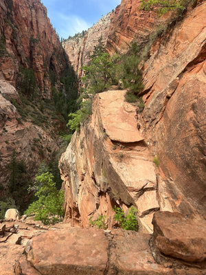 Zion Canyon E-Bike Rental
