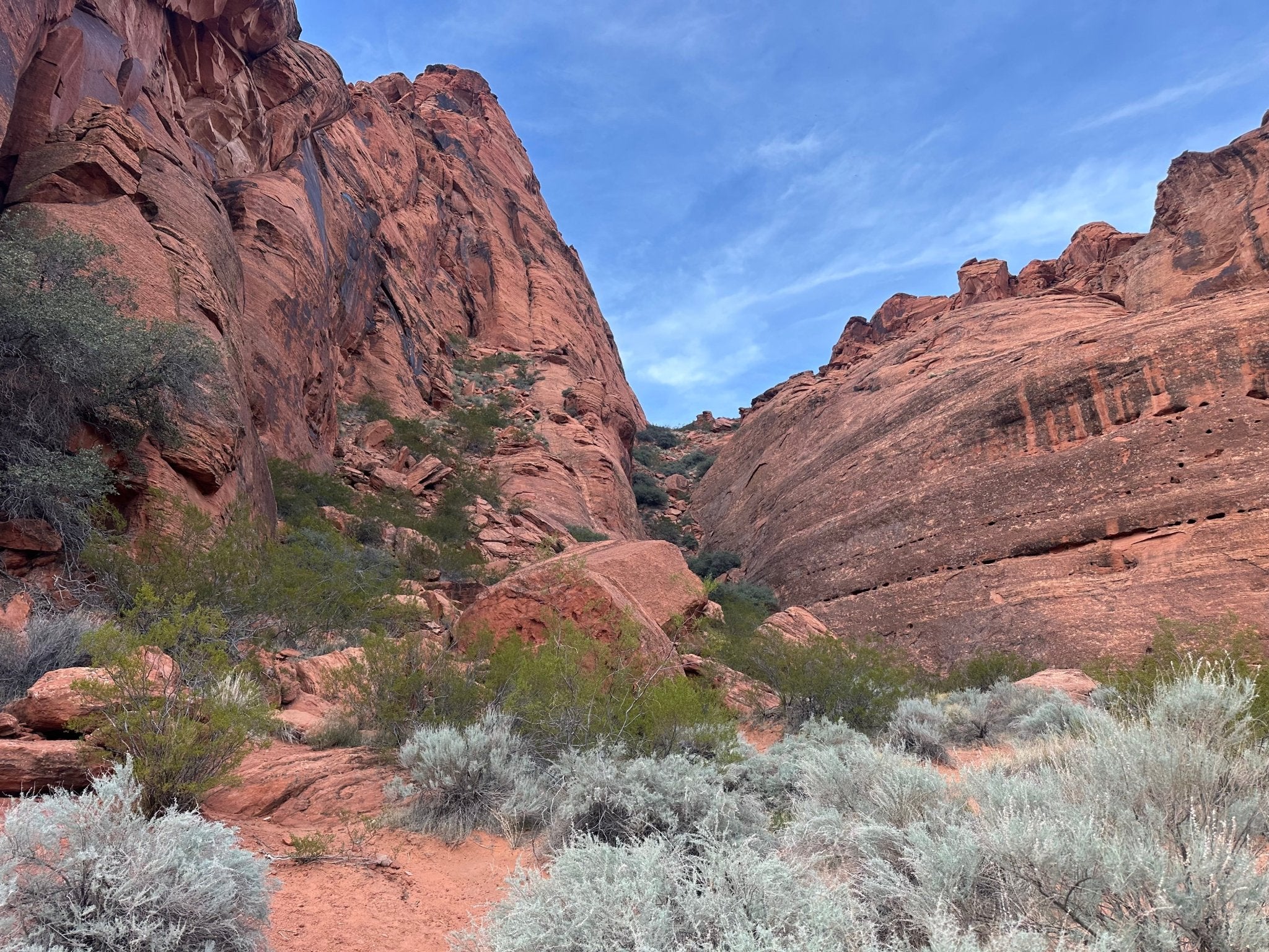 Zion National Park e-bike rental