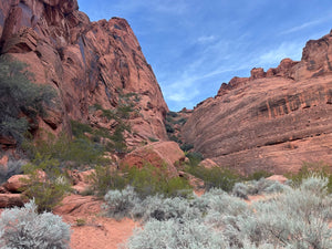 Zion National Park e-bike rental