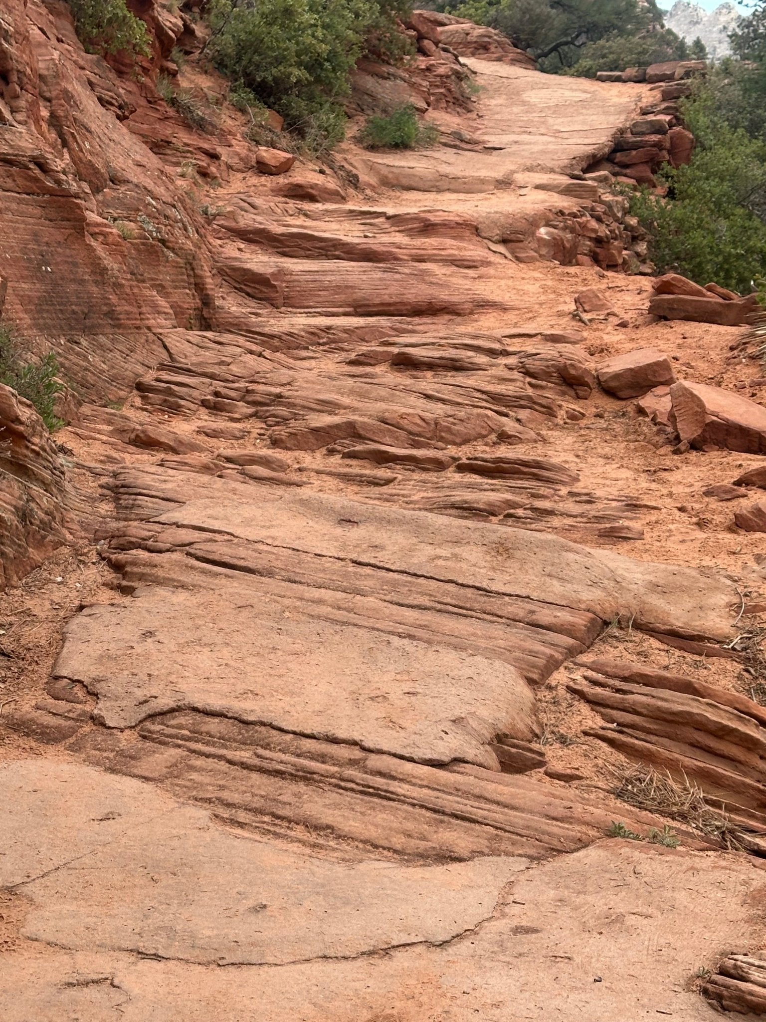 Zion Canyon E-Bike Rental