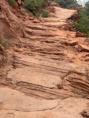 Zion Canyon E-Bike Rental