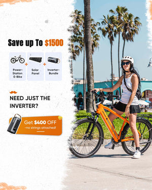 Solar + Inverter Bundle