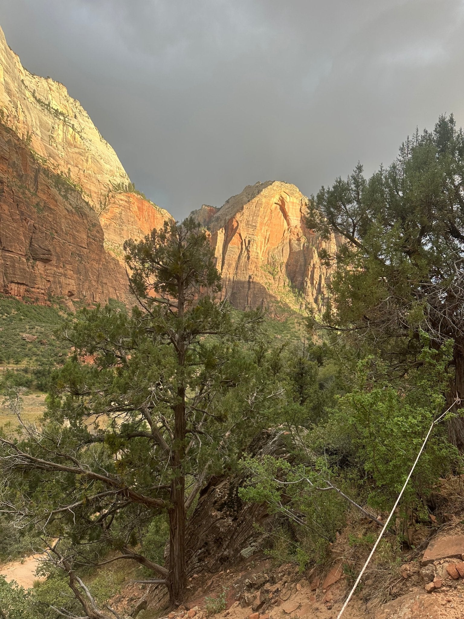 Zion Canyon E-Bike Rental