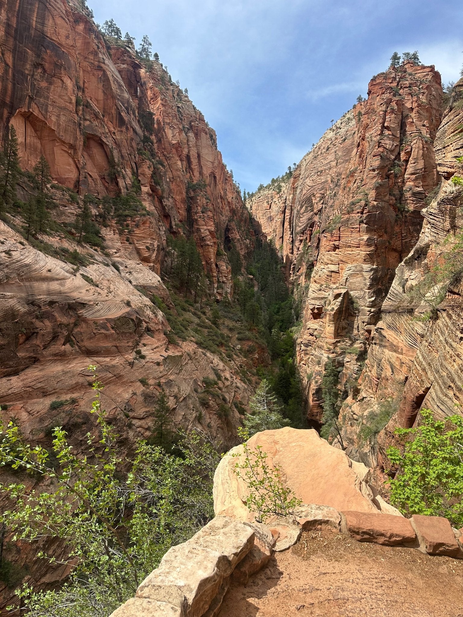 Zion Canyon E-Bike Rental
