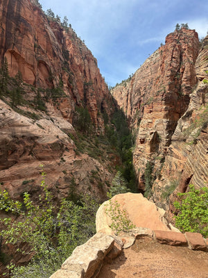 Zion Canyon E-Bike Rental