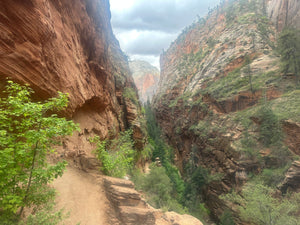 Zion E-Bike Tours – Expert Guides with 8+ Years of Experience