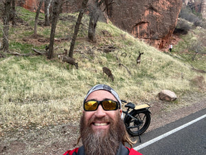 Zion Canyon E-Bike Rental