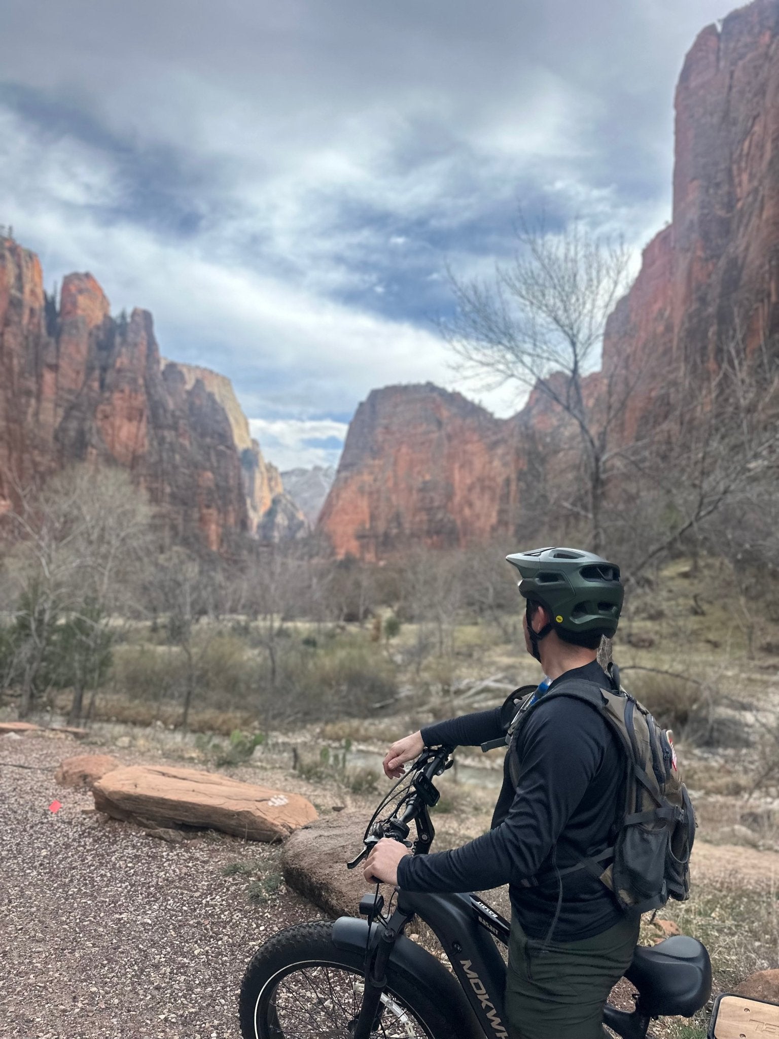 Zion Canyon E-Bike Rental