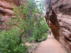 Zion E-Bike Tours – Expert Guides with 8+ Years of Experience