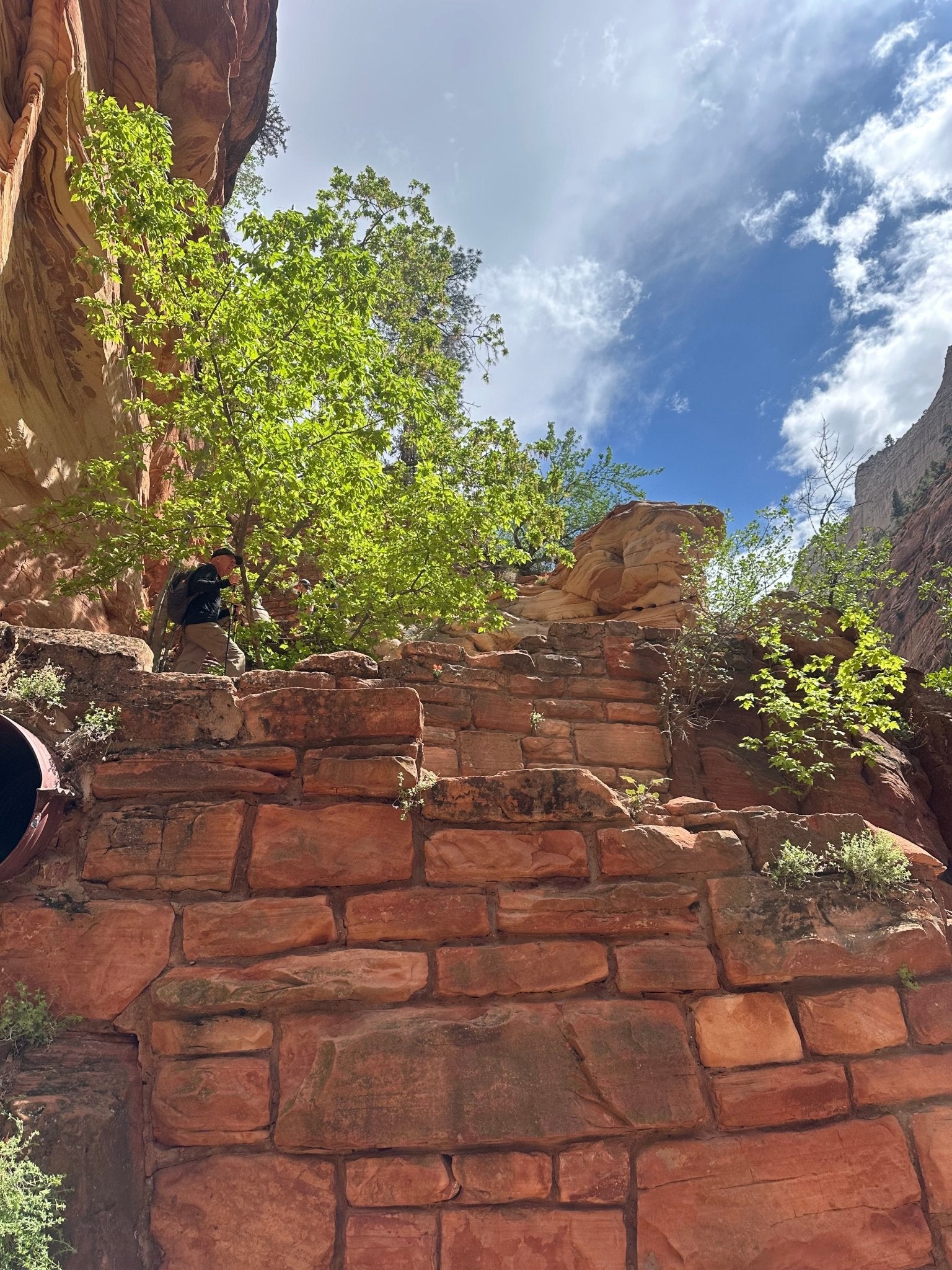 Zion E-Bike Tours – Expert Guides with 8+ Years of Experience