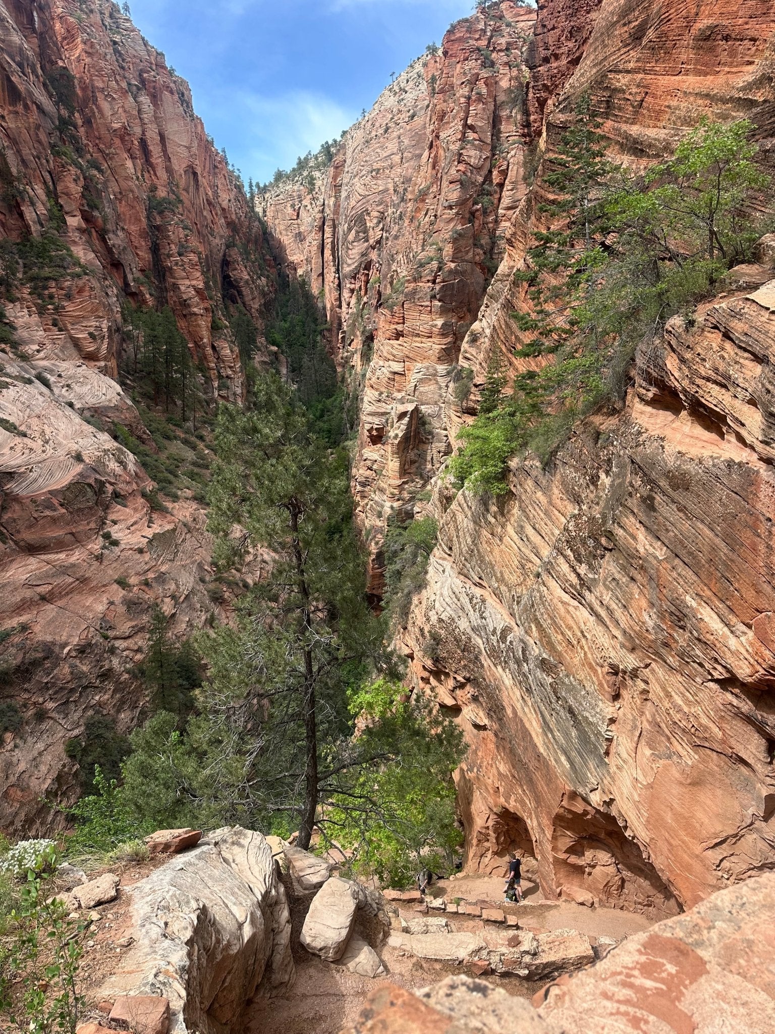 Zion E-Bike Tours – Expert Guides with 8+ Years of Experience