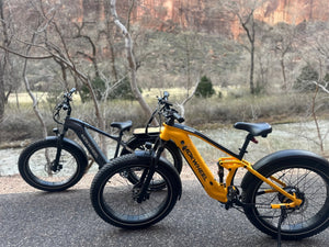 Zion E-Bike Tours – Expert Guides with 8+ Years of Experience