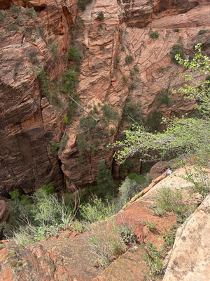 Zion E-Bike Tours – Expert Guides with 8+ Years of Experience