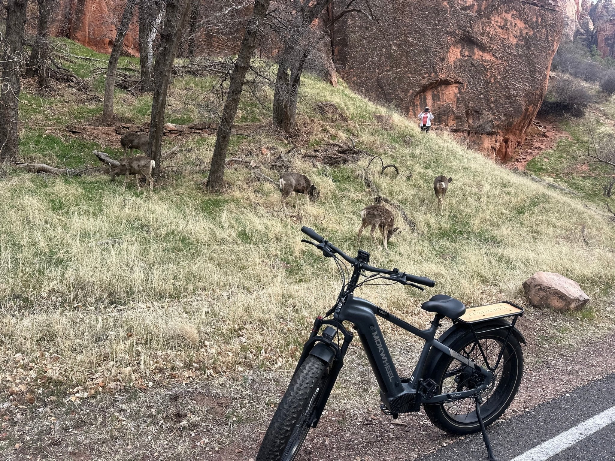 Zion E-Bike Tours – Expert Guides with 8+ Years of Experience