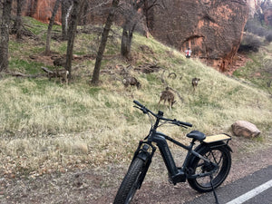 Zion E-Bike Tours – Expert Guides with 8+ Years of Experience