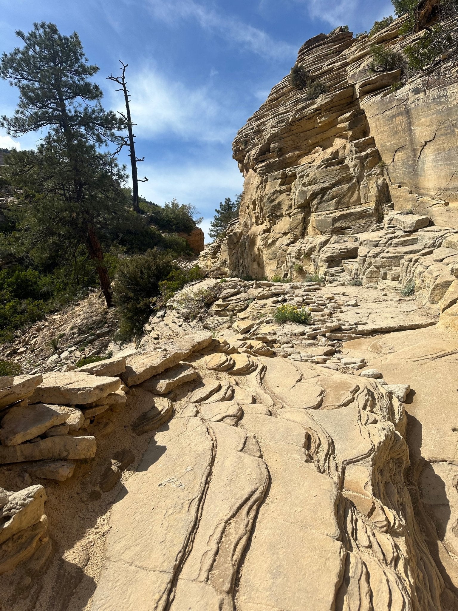 Zion Guided Hiking Trip- Angels Landing- 4+ miles