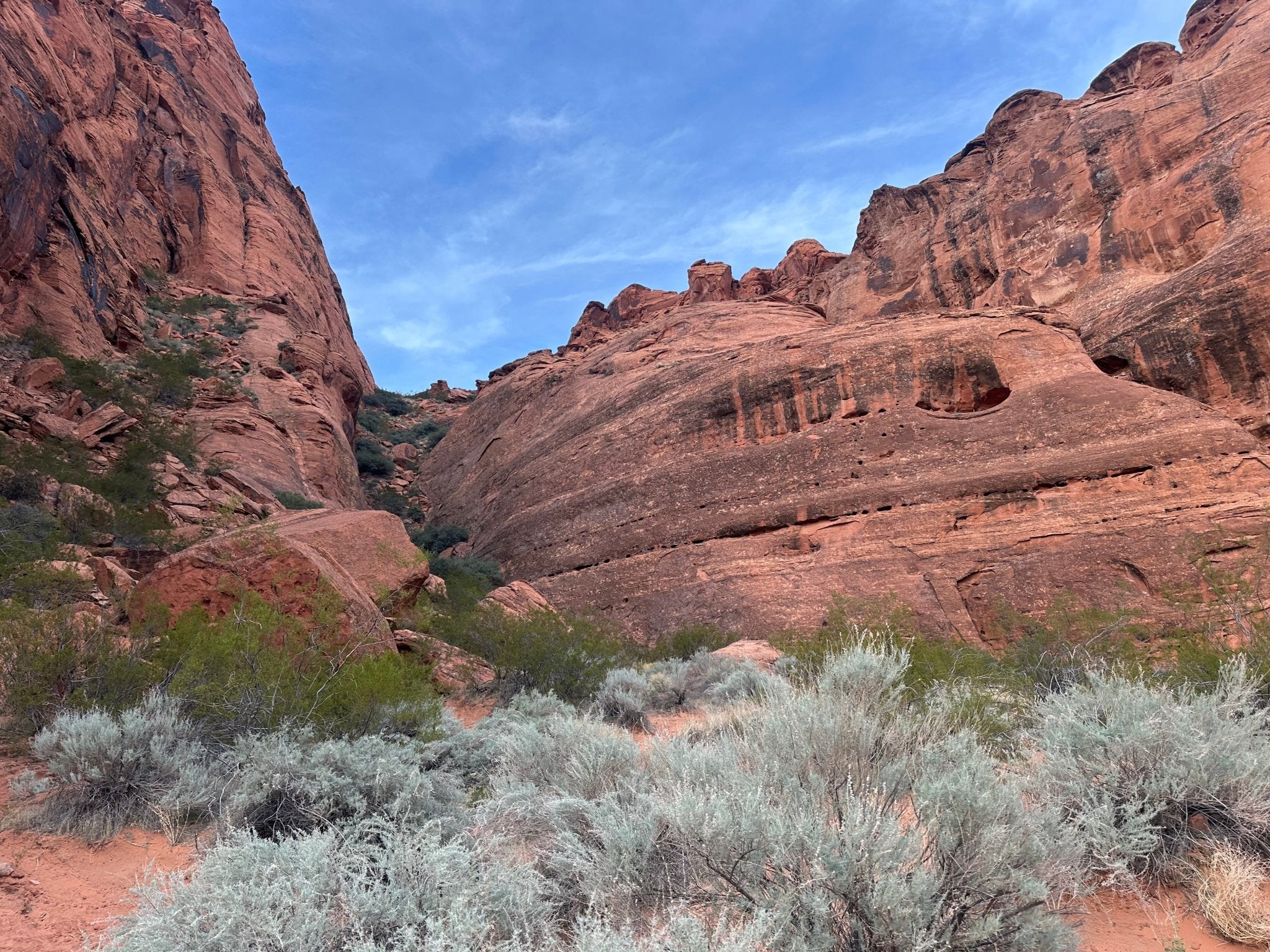 Zion Canyon E-Bike Rental