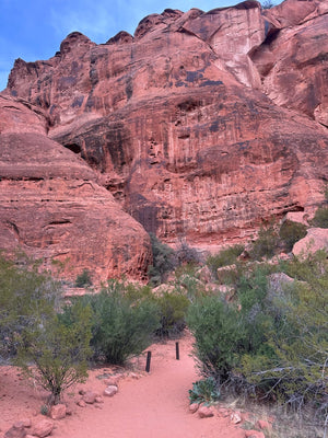 Zion Guided Hiking Trip- Angels Landing- 4+ miles