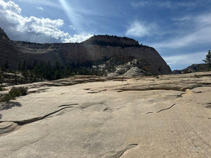 Zion Guided Hiking Trip- Angels Landing- 4+ miles