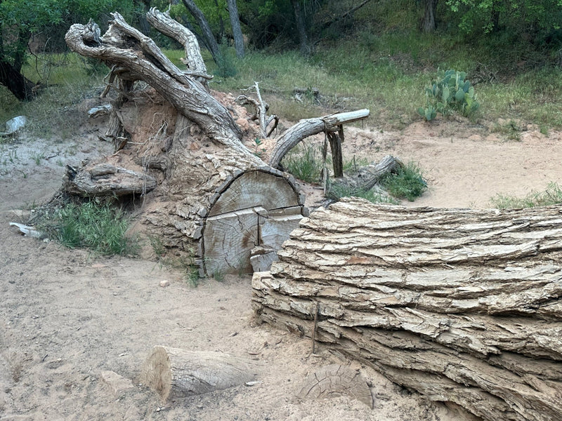 ZIONS EMERALD POOLS-CASUAL WALK-3 miles