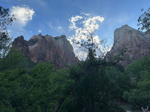 ZIONS EMERALD POOLS-CASUAL WALK-3 miles