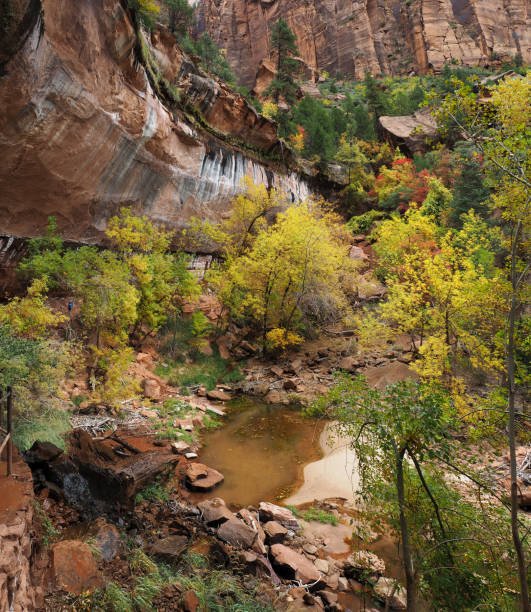 ZIONS EMERALD POOLS-CASUAL WALK-3 miles