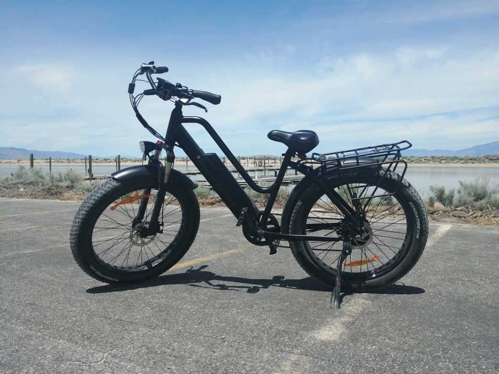 
            
                Laden Sie das Bild in den Galerie-Viewer, E-Bike Rental – Fat Tire Pavement Bike - Antelope Ebikes
            
        